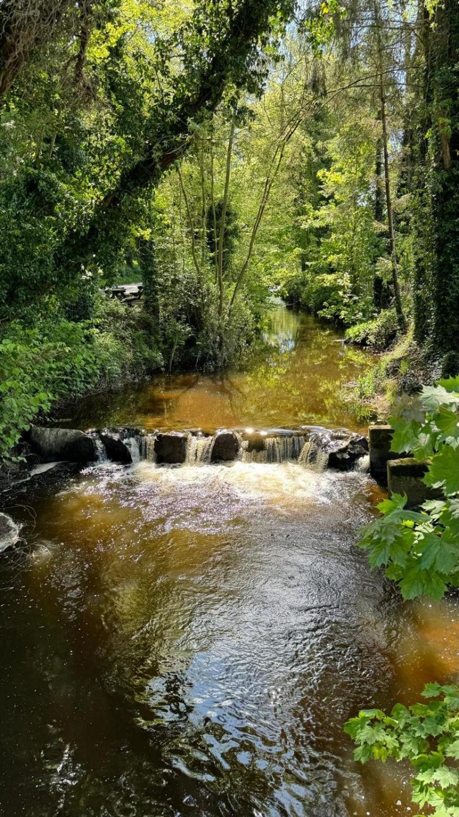 Basil Sheils B&B Accommodation Armagh Extérieur photo